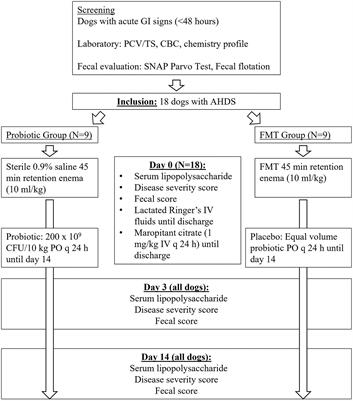 Clinical response in dogs with acute hemorrhagic diarrhea syndrome following randomized probiotic treatment or fecal microbiota transplant